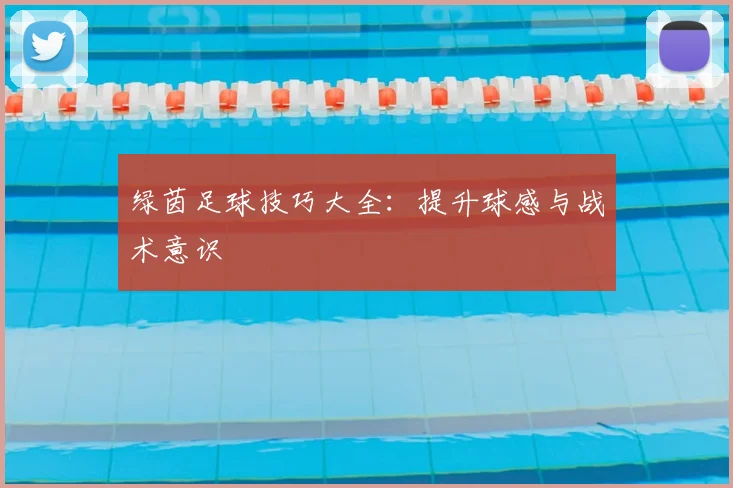 绿茵足球技巧大全:提升球感与战术意识