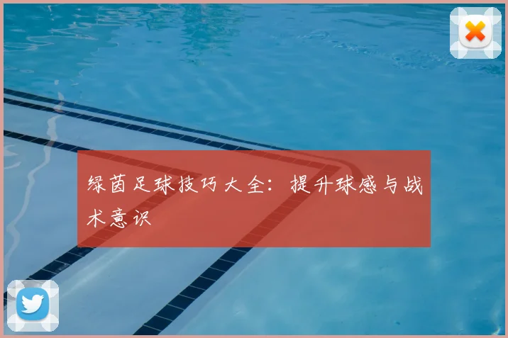 绿茵足球技巧大全：提升球感与战术意识